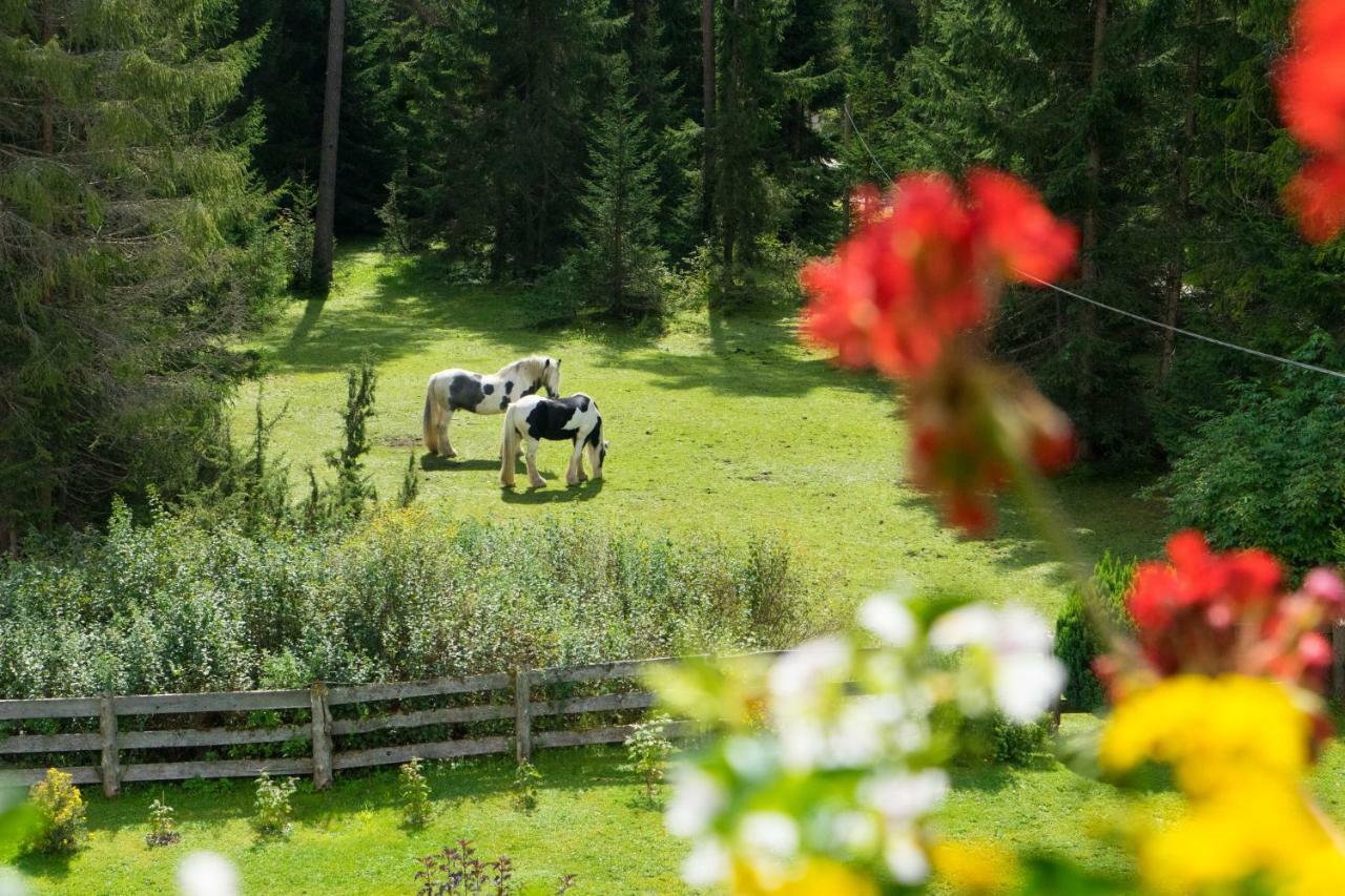 Ferienhaus Tannenblick Лойташ Екстер'єр фото
